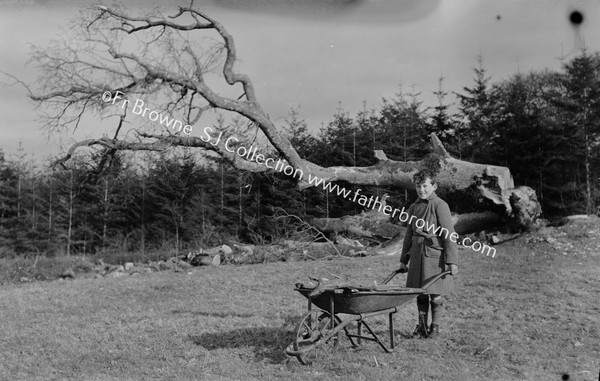 BOY WITH WHEEL-BARROW AT FALLEN TREE